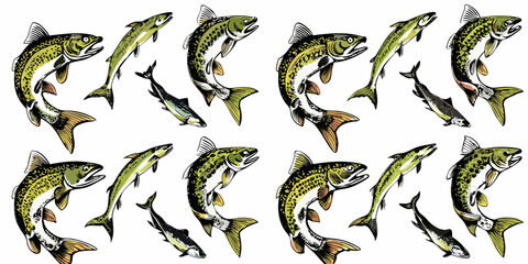 Collection of colorful hand drawn trout and salmon fish illustrations on a white background