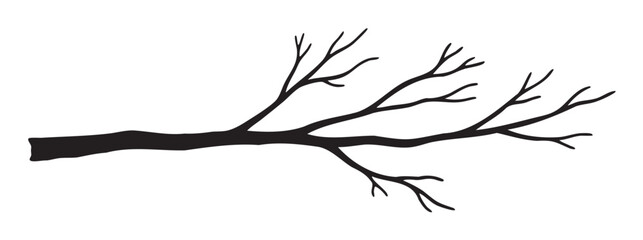 Fototapeta premium Black silhouette of a leafless tree branch with multiple intricate twigs extending outward.
