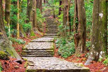Kumano Kodo in Nachi, Wakayama, Japan 224