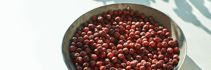 Wide bowl of sunlit dried red berries on white surface highlighting shadows.