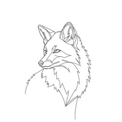 Obraz premium Line art fox line art drawing vector illustration animal outline design minimalist modern simple black and white wildlife art