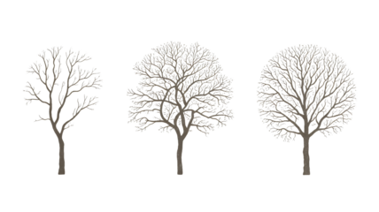 Three bare trees create a minimalist winter scene, perfect for seasonal designs, nature-themed projects, and adding a touch of quiet beauty