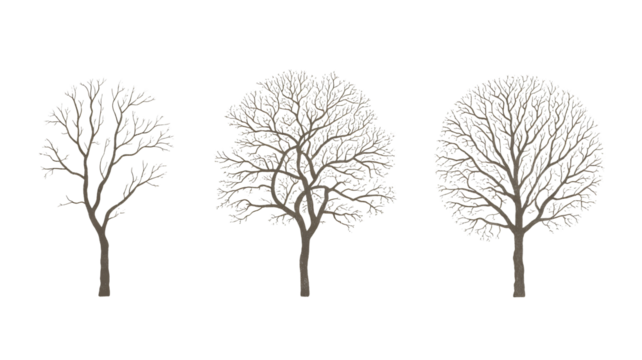 Three bare trees create a minimalist winter scene, perfect for seasonal designs, nature-themed projects, and adding a touch of quiet beauty