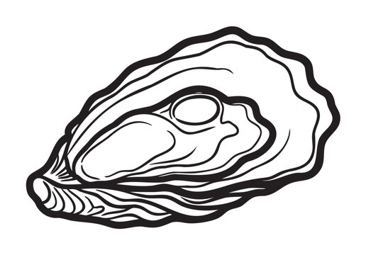 Black outline vector icon of an open oyster shell with detailed lines, depicting a single pearl nestled inside.