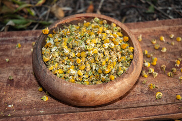 Dried chamomile in a wooden bowl on a wooden background. Nobody.