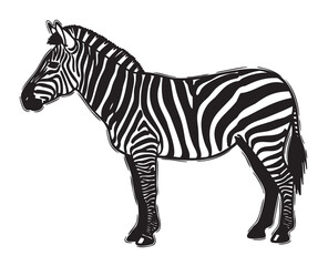 Black and white outline of a zebra, showcasing its distinctive stripes in a side profile view.