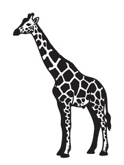 Black and white silhouette of a standing giraffe with distinct spot patterns and a simple, elegant posture.