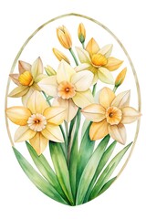 Fototapeta premium Watercolor painting of an oval frame containing beautiful yellow daffodils and green leaves