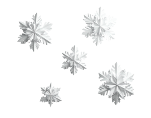 A beautiful collection of five detailed ice crystal snowflakes.