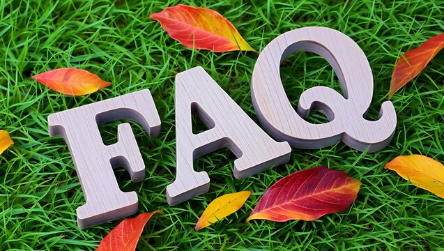 FAQ Concept with wooden letters lying on the green grass