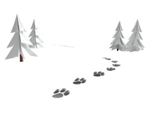 A mysterious trail of animal paw prints in the snow.