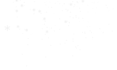 Winter Magic – Realistic Snowfall Overlay Isolated on Transparent Background
