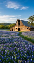 A picturesque wooden barn stands amidst a vast field of vibrant blue wildflowers, bathed in the soft light of a beautiful spring day.