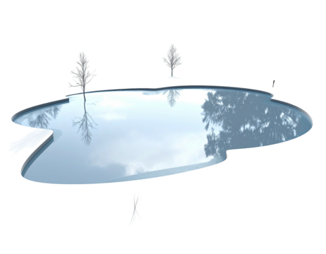 Isolated reflective puddle mirroring bare trees and a cloudy sky.