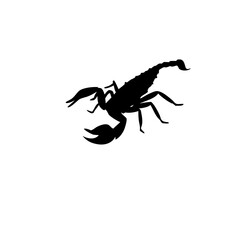 scorpion silhouette