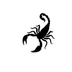 scorpion silhouette