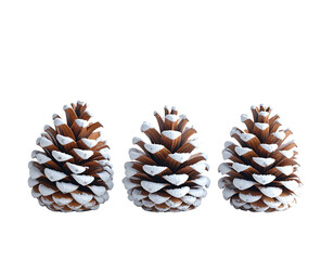 Three natural pine cones with snow dusted tips isolated on a white background.