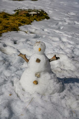 Obraz premium Vertical view of snowman standing on fresh snow