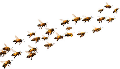  a group of bees flying around, transparent background png, png format