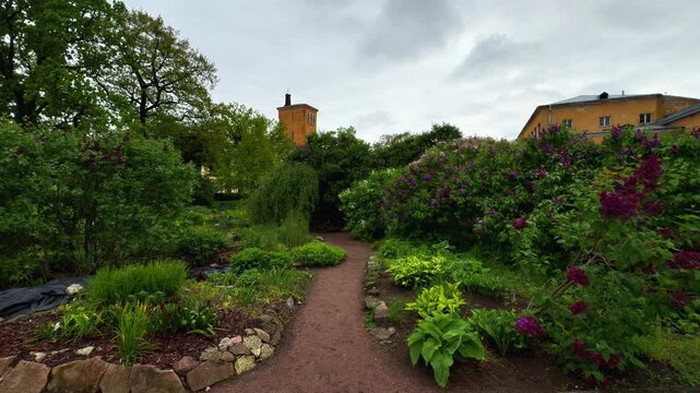 Wide angle shot of a narrow dirt path curving through the historic Peter the Great Botanical Garden in Saint Petersburg during spring, featuring purple lilac bushes, lush foliage, and a yellow