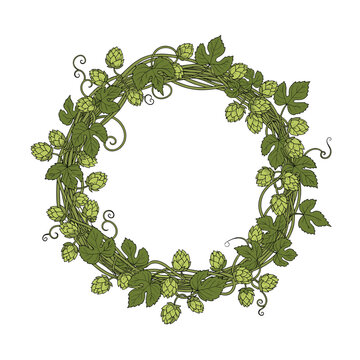 A circular wreath of green hops and vines.