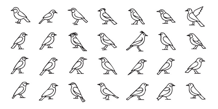 Set of bird outline icons vector
