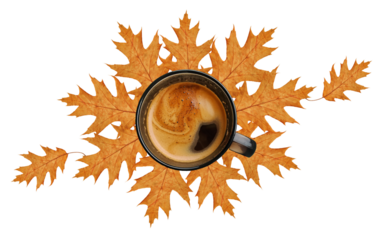 National Coffee Day concept. Gourmet coffee. Fall coffee wallpaper. Coffee cup from above, coffee with foam, dark glass cup, dried oak leaves as coaster. Modern design coffee poster. PNG