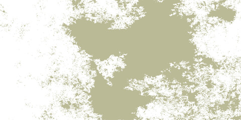 A grunge black paper texture with a green floral vintage nature frame decoration