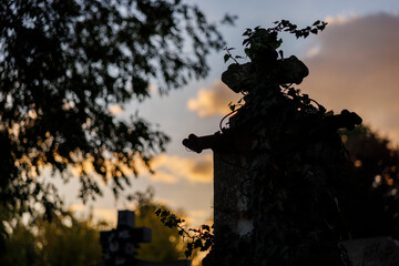 Silhouette of cross covered with ivy at sunset in peaceful cemetery
