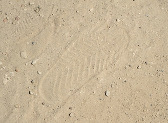 Footprint in dry sandy ground reveals recent activity in a natural outdoor environment