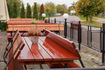 Empty wooden tables with wet surfaces and heather pots after rain. Concept of end of café season,...