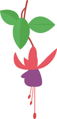 Vibrant fuchsia flower with green leaves illustration