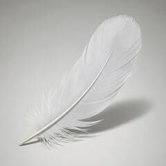 White feather on soft background representing lightness and purity