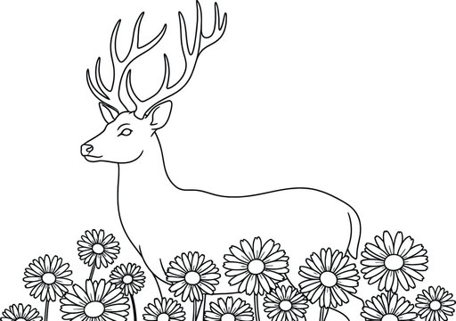 Wild & Domestic Animals Line Art & Outline Vector kids & adults Coloring Pages