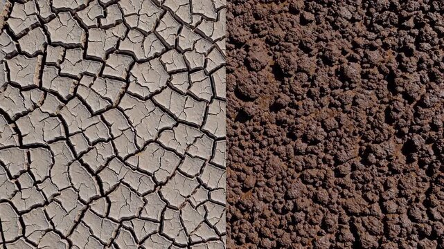 Dry, cracked earth contrasting against moist ground, depicting severe land degradation and environmental changes resulting from prolonged water scarcity