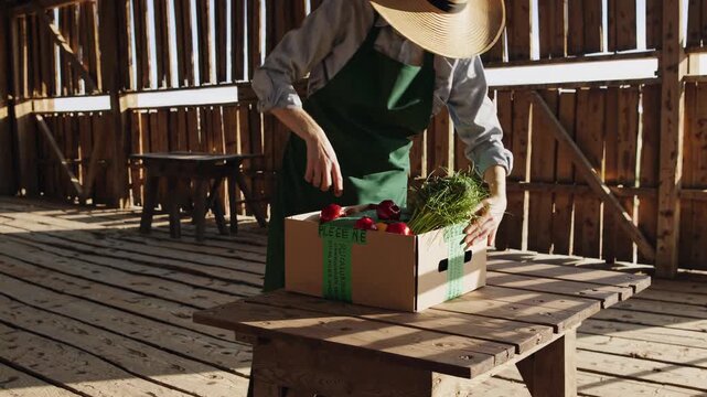 Sunlight streaming through rustic wooden barn, female farmer in straw hat sorting freshly harvested organic vegetables into cardboard container
