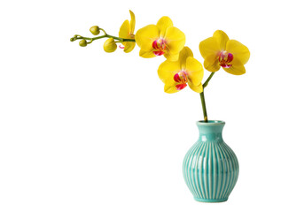 Yellow orchid in a blue vase isolated PNG, vibrant phalaenopsis flower arrangement on transparent background for floral design projects © Florin