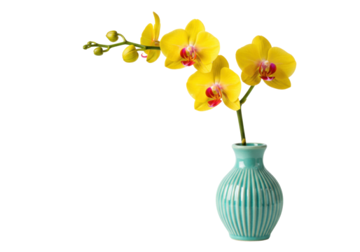 Yellow orchid in a blue vase isolated PNG, vibrant phalaenopsis flower arrangement on transparent background for floral design projects - Powered by Adobe