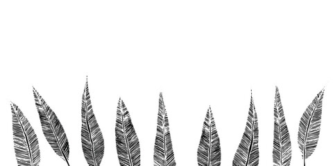 Floral frame with eucalyptus leaves on white background. Ornate border. Vector hand drawn illustration for wallpaper, posters, card. Doodle style. Copy space. © Alla