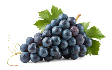 Fototapeta premium Fresh bunch of dark blue grapes with green leaves isolated on white background perfect for healthy eating and agriculture concepts