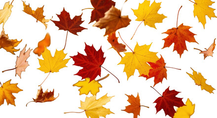 Obraz premium Dynamic Vector Illustration of Falling Autumn Leaves Ready for Transparent Overlays.