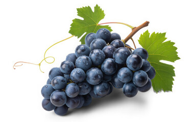 Fototapeta premium Fresh bunch of dark blue grapes with leaves isolated on white background perfect for healthy eating and fruit-related designs