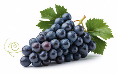 Fototapeta premium Fresh bunch of dark grapes with green leaves isolated on white background perfect for healthy eating and wine concepts