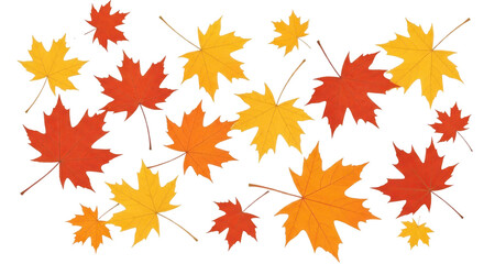 Obraz premium Photographic Rendering of Autumn Leaves Falling Down with Full Transparent Edges.