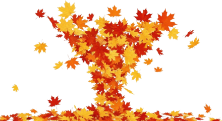 Isolated Close-Up of Autumn Leaves Falling Individually on a Clear Background Image.