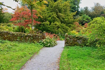A gravel path leads into a garden, framed by mossy stone walls. Colorful trees and lush green foliage surround the pathway in Sizergh - Kendal - Lake District - UK
