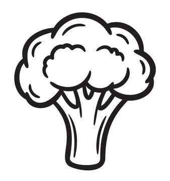 Black outline vector icon of a broccoli head with distinct florets and a thick stem, representing healthy eating and vegetable concepts.