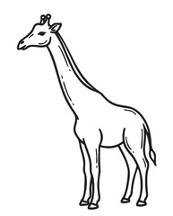Fototapeta premium Black outline drawing of a standing giraffe with its long neck and legs visible, showcasing its distinctive features in a simplistic style.