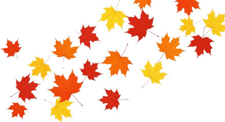 Seasonal Atmosphere: Brightly Colored Autumn Leaves Floating Against a Clear Backdrop.