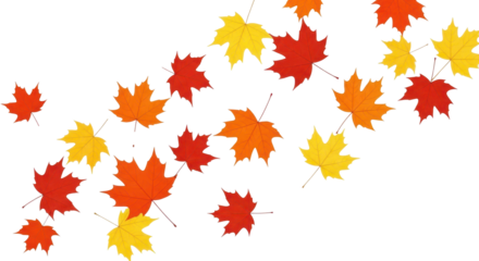 Seasonal Atmosphere: Brightly Colored Autumn Leaves Floating Against a Clear Backdrop.